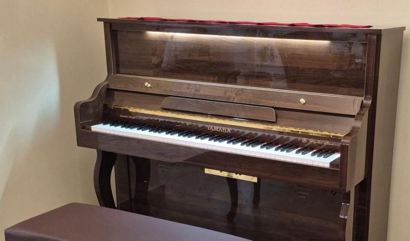 طرح آکوستیک یاماها Yamaha p145 نقد و اقساط|پیانو، کیبورد، آکاردئون|تهران, ونک|دیوار