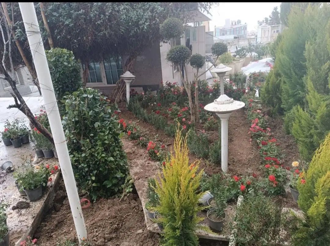 خدمات باغبانی سرویس دهی به تمام نقاط تهران|خدمات باغبانی و درختکاری|تهران, سعادت‌آباد|دیوار
