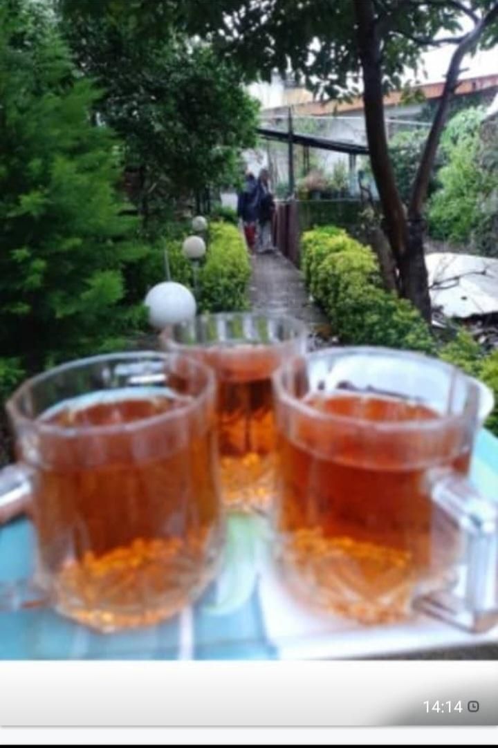 اجاره روزانه سوییت باحیاط والاچیق|اجارهٔ کوتاهمدت آپارتمان و سوئیت|چالوس, |دیوار