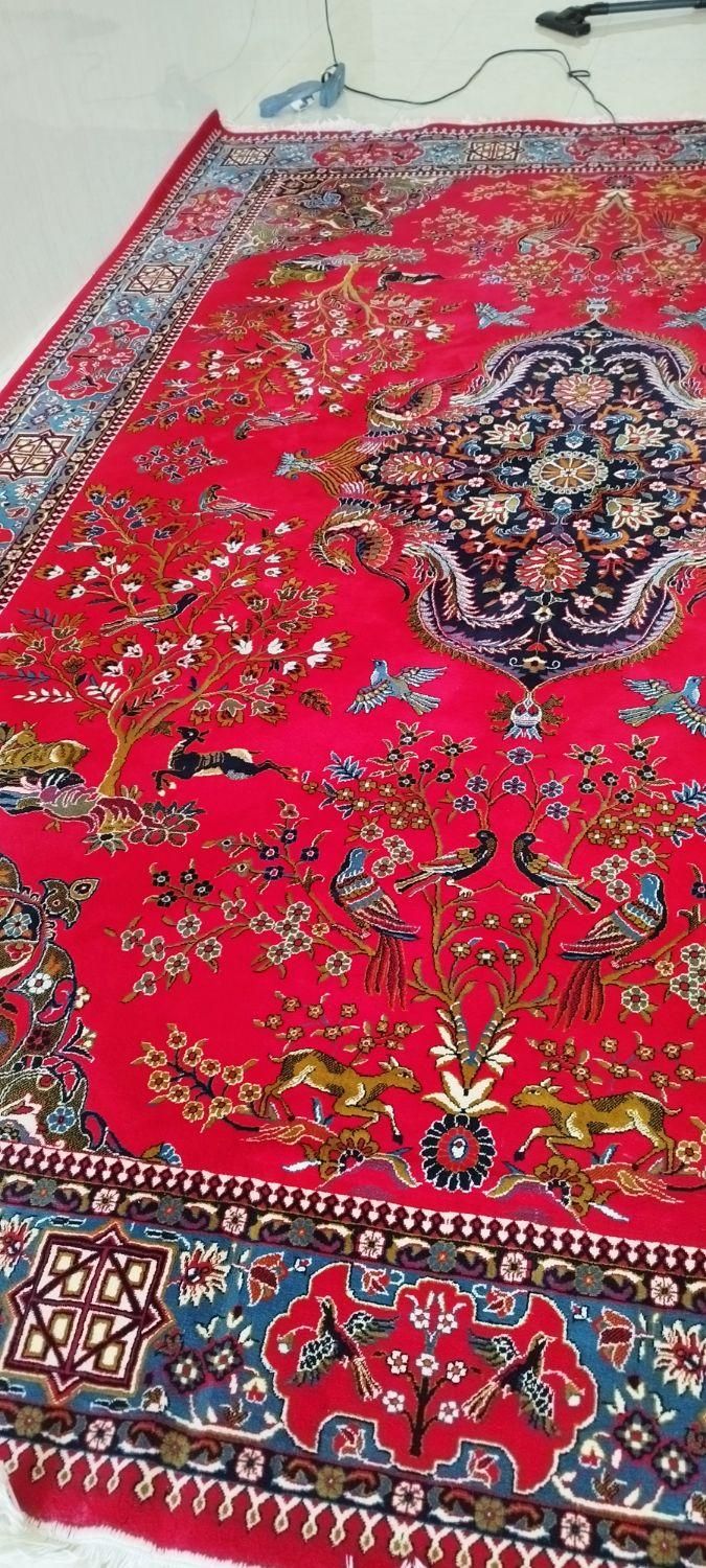 چند عدد قالی جفت و تک درجه یک بدونه یه نقطه زدگی|فرش|کامیاران, |دیوار