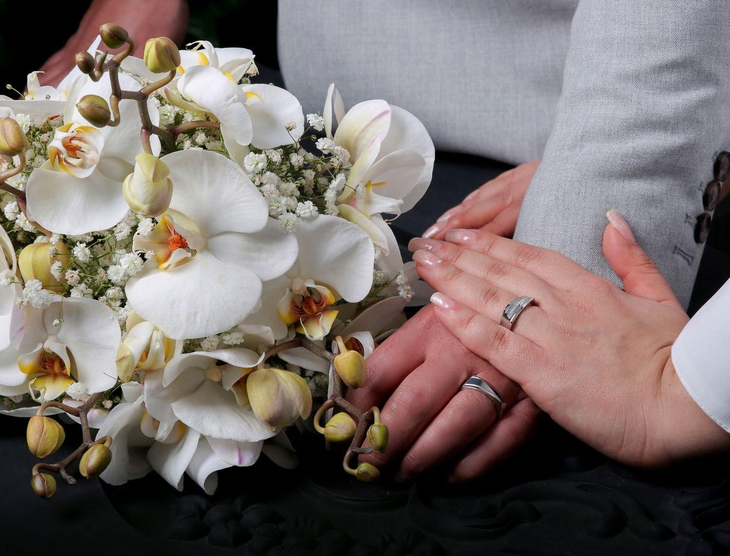 آتلیه فیلم و عکس عدالت|خدمات پذیرایی، مراسم|گرگان, |دیوار