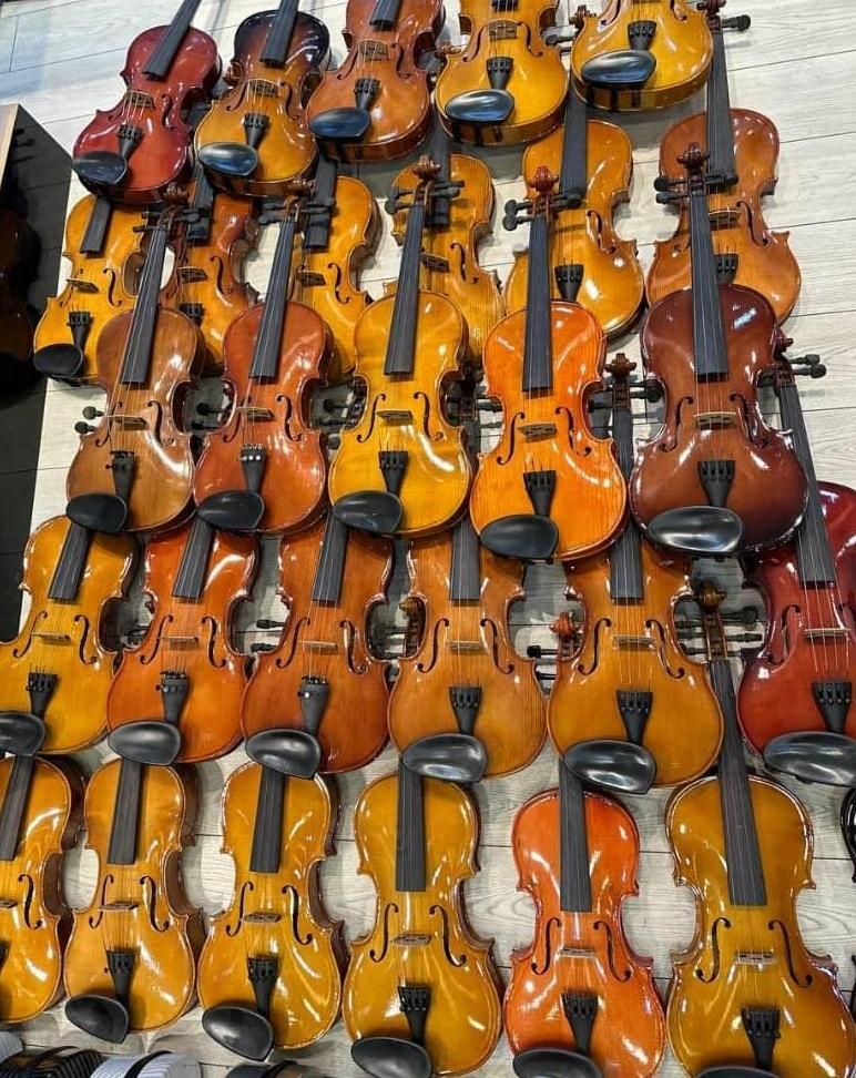 جشنواره عیدانه فروشگاه ویالن آویژه در کرج|ویولن|کرج, حسینآباد|دیوار