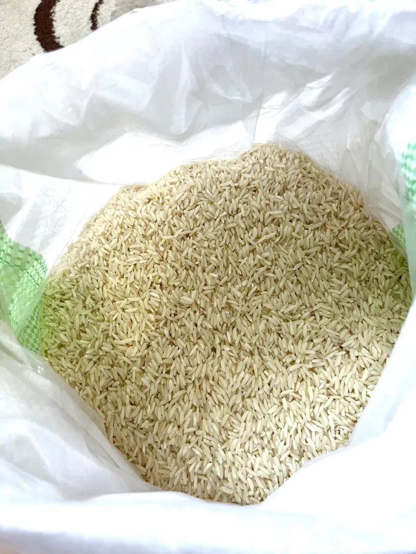 فروش انواع برنج هاشمی وغیره ایرانی بدون واسطه|خوردنی و آشامیدنی|رشت, سعدی (تختی)|دیوار