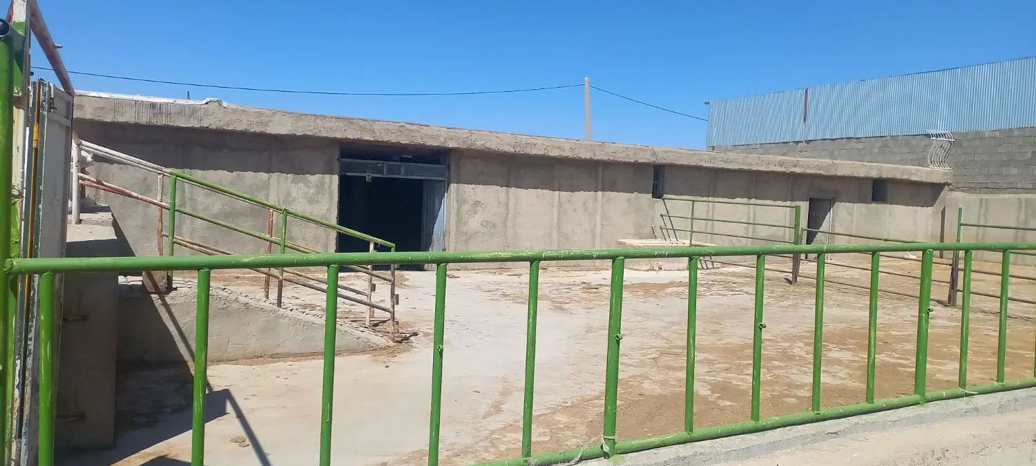 سلام فروش دامداری ۱۴۰۰ متری چهار دنگ از شش دنگ|فروش دفتر صنعتی، کشاورزی، تجاری|بروجن, |دیوار