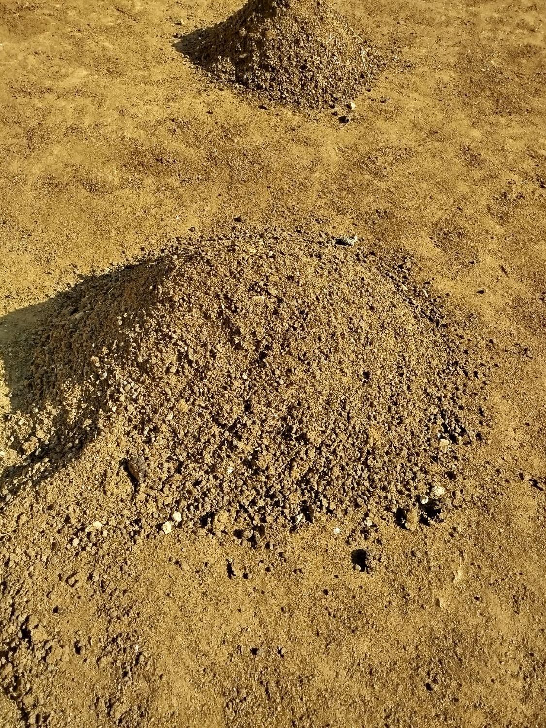 کود گوسفندی|خدمات باغبانی و درختکاری|همدان, |دیوار