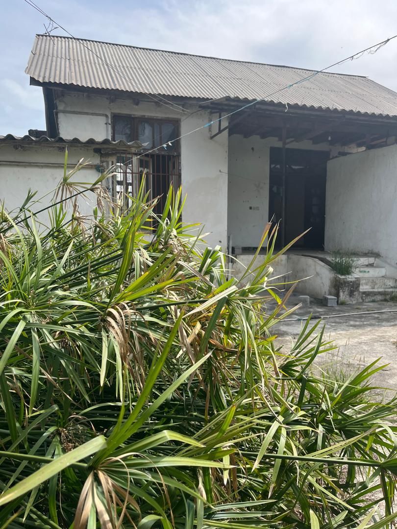 خونه کلنگی ۱۸۰ متری/فروش فوری/قیمت کل..|فروش خانه و ویلا|نور, |دیوار