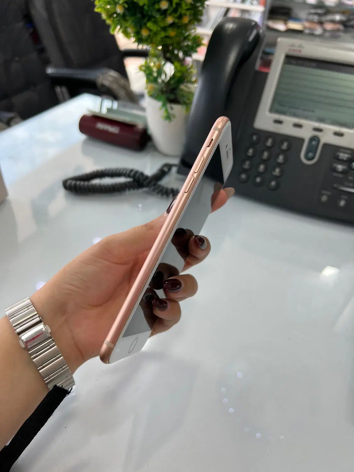 iPhone 8 plus|موبایل|رشت, حاجی آباد|دیوار
