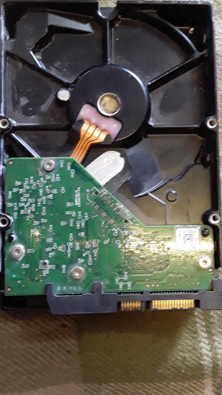 هارددیسک wd 1.0TB BLUE|قطعات و لوازم جانبی رایانه|رشت, گلسار|دیوار