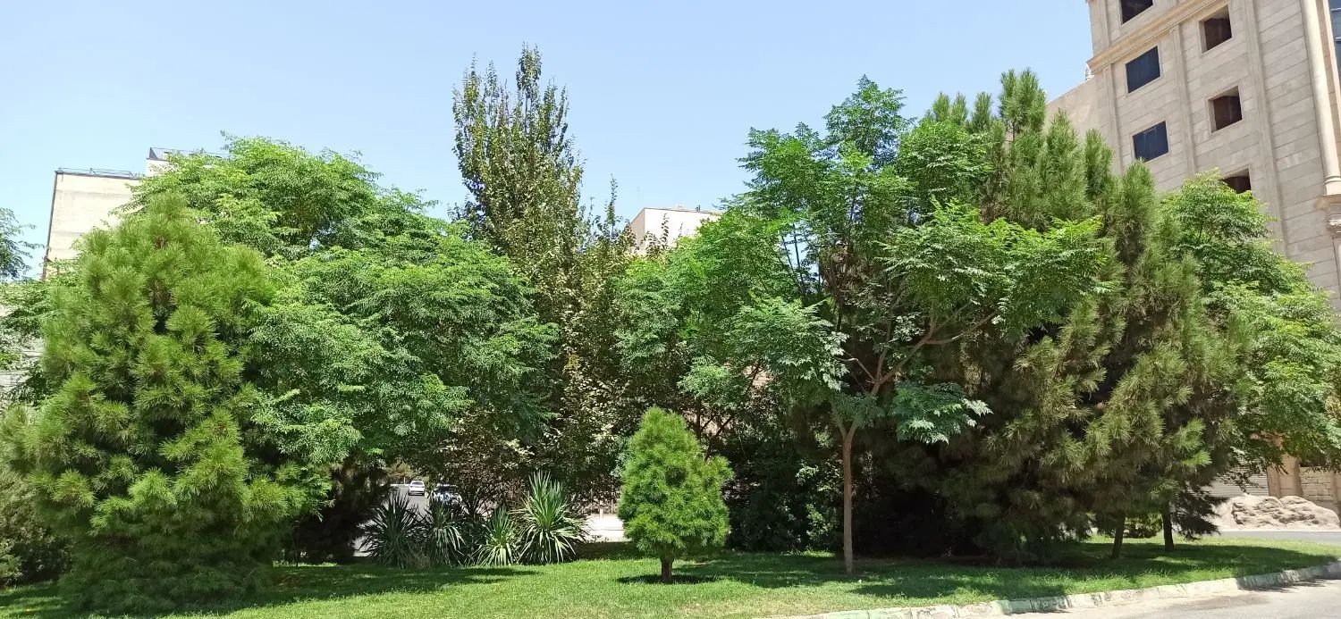 واحد۱۵۵م/جنوبی/۱۲متربرساختمان /۳خواب /کلید نخورده|فروش آپارتمان|قم, انسجام|دیوار