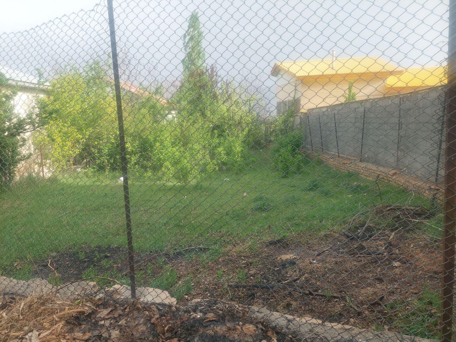 فروش زمین ۵۰۰ متری داخل بافت طالقان|فروش زمین و ملک کلنگی|طالقان, |دیوار