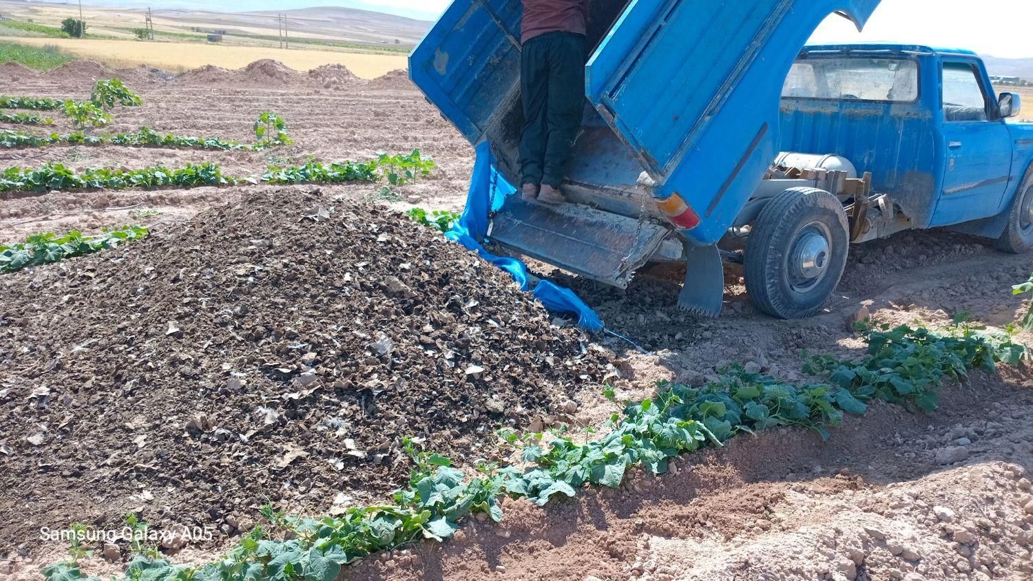 حمل بار و فروش مصالح ساختمانی با نیسان کمپرسی|خدمات باغبانی و درختکاری|شیروان (خراسان), |دیوار