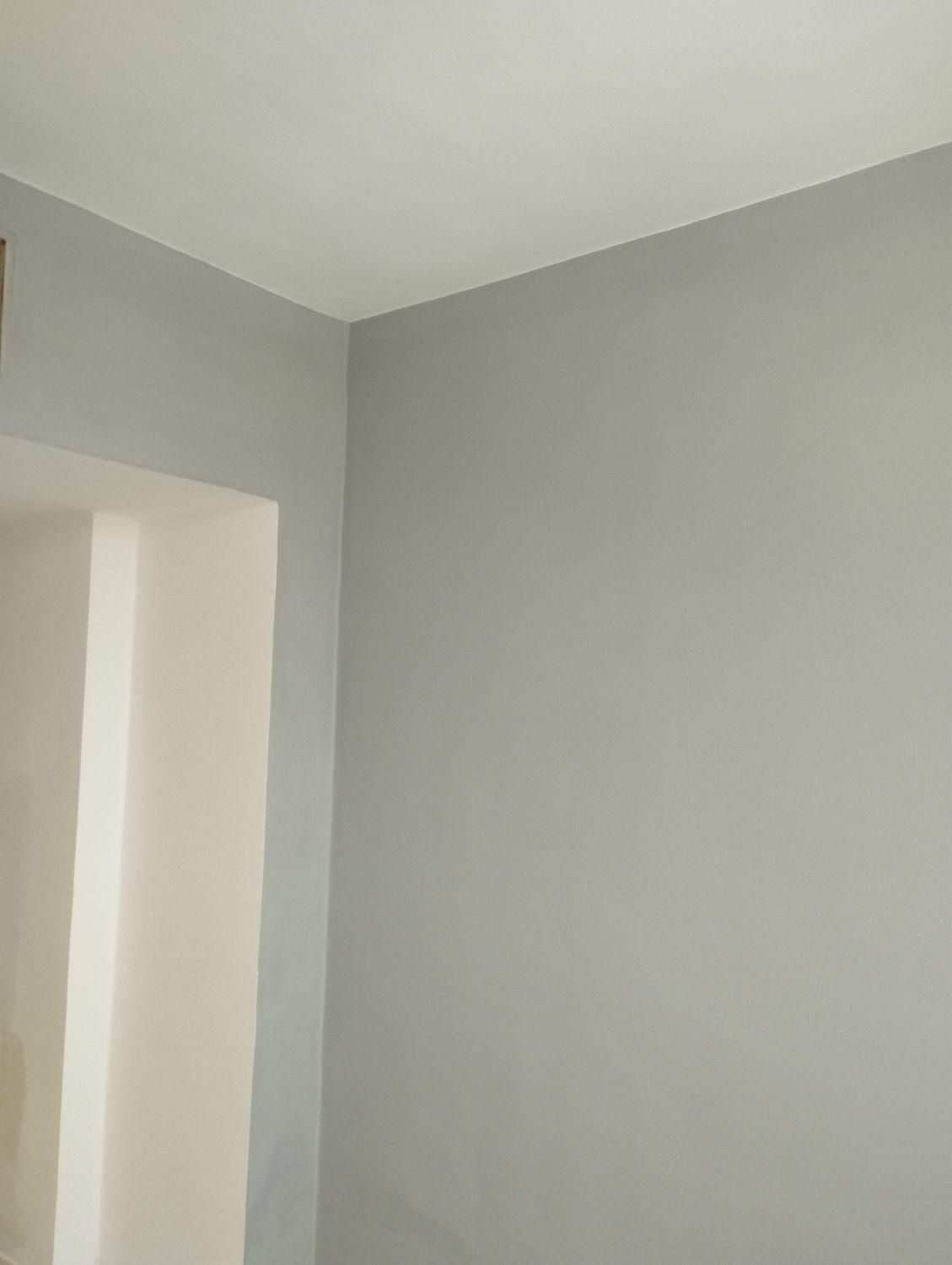 نقاش ساختمان مجرب|خدمات پیشه و مهارت|شیراز, میانرود|دیوار