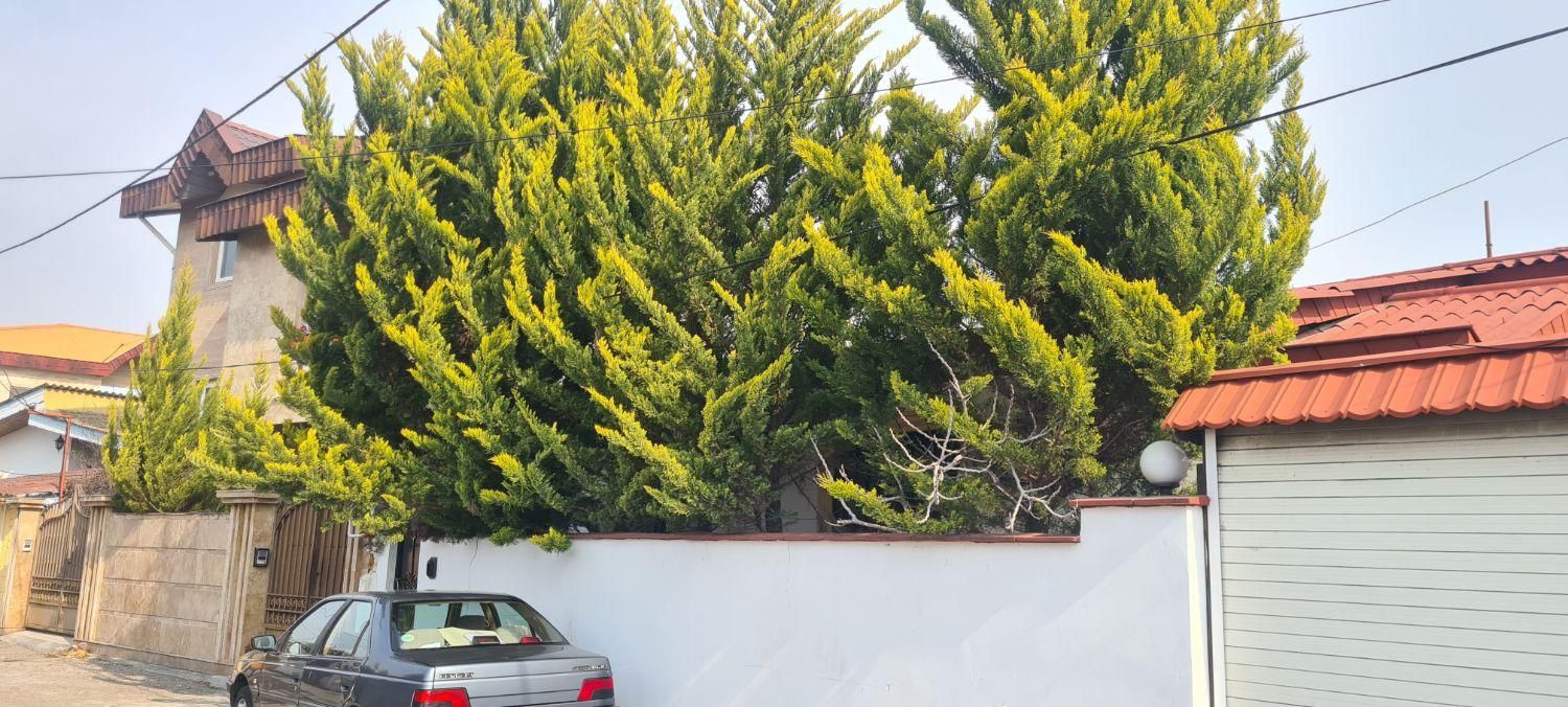 ۳هکتار زمین کشاورزی با برق و گاز نزدیک بهارستان|فروش دفتر صنعتی، کشاورزی، تجاری|اصفهان, بهارستان|دیوار