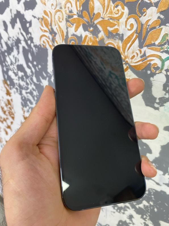 اپل iPhone 13 Pro Max با حافظهٔ ۲۵۶ گیگابایت|موبایل|شیراز, آزادی|دیوار