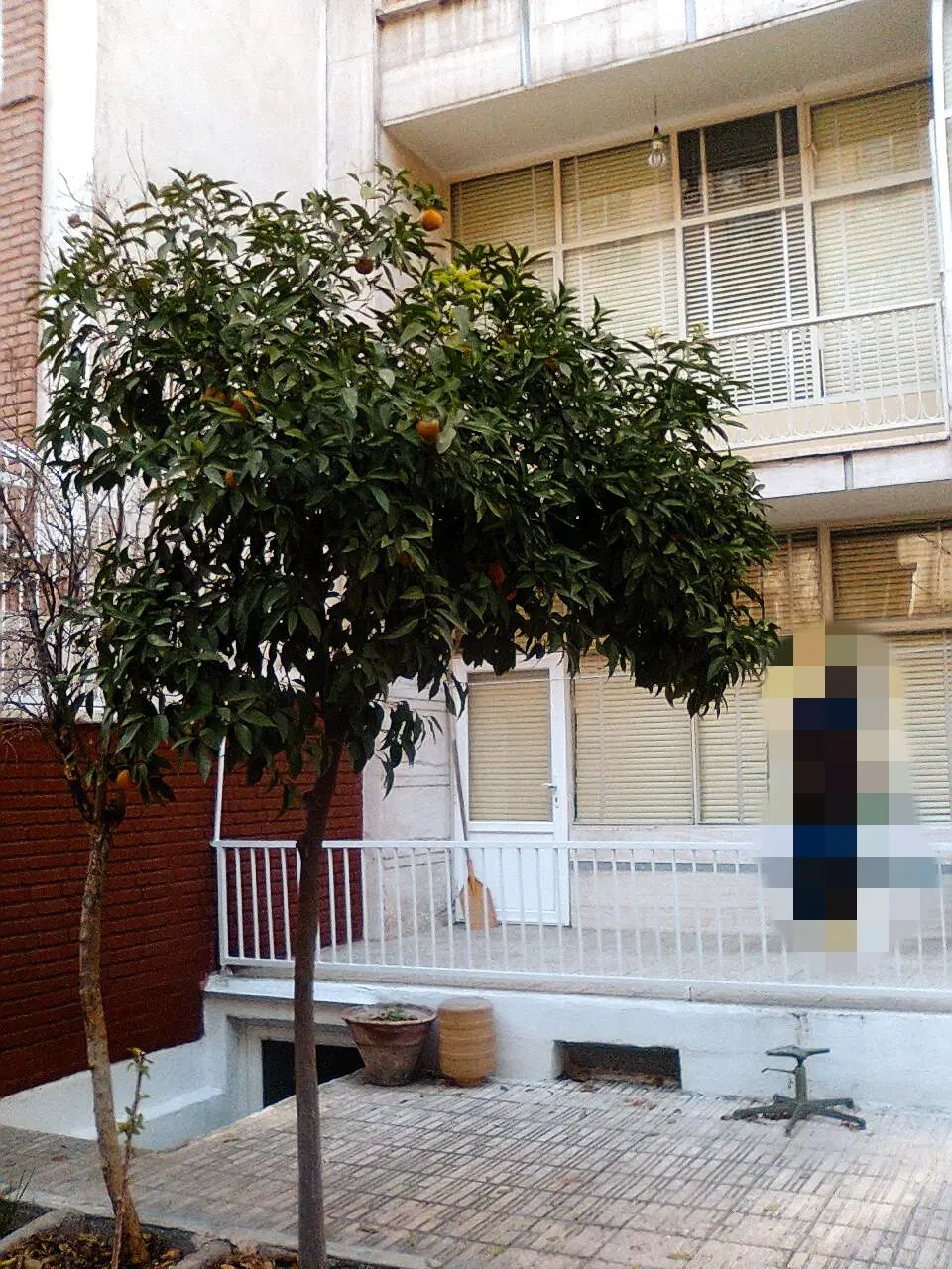 خانه ویلایی 250مترزمین دوطبقه مسکونی (کلنگی)|فروش خانه و ویلا|تهران, سجاد|دیوار