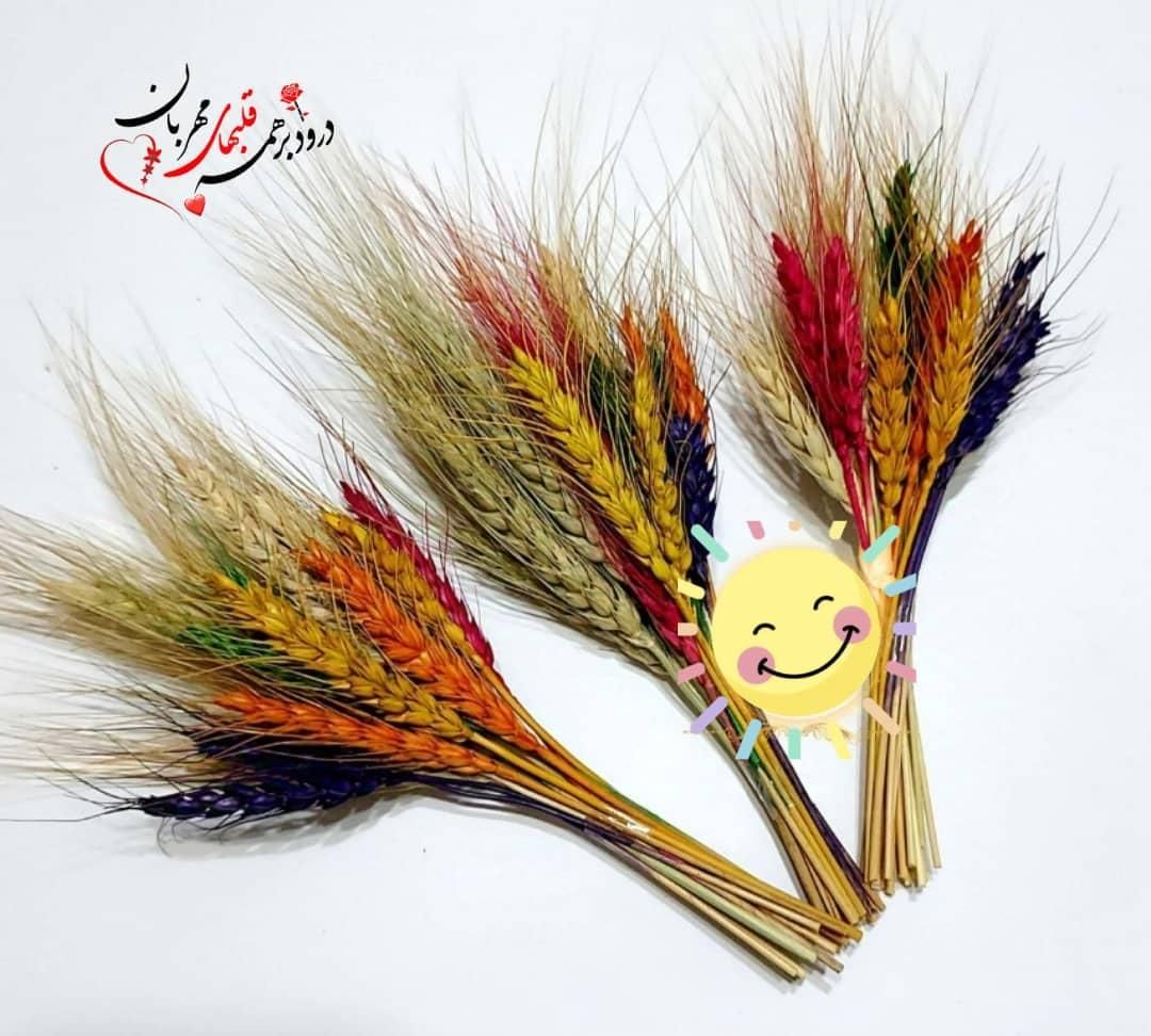 کافی نت پاییز|خدمات رایانهای و موبایل|هشتگرد, |دیوار