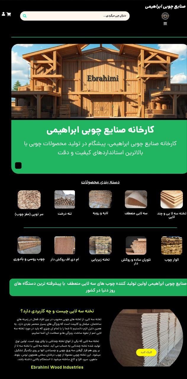 طراحی سایت و سئوی اختصاصی|خدمات رایانه‌ای و موبایل|تبریز, |دیوار