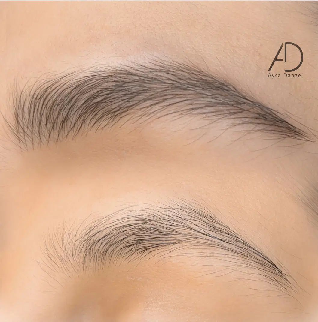 درخواست مدل میکروبلیدینگ|خدمات آرایشگری و زیبایی|مشهد, هنرستان|دیوار