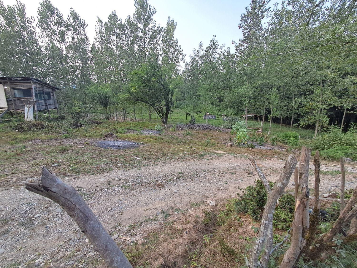 زمین 375متر بیست کیلومتری شهر رشت روستای چماچا|فروش زمین و ملک کلنگی|شفت, |دیوار