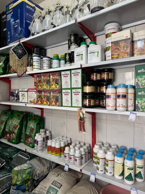 خدمات کشاورزی اسماعیلی|خدمات باغبانی و درختکاری|اصفهان, خاتونآباد|دیوار