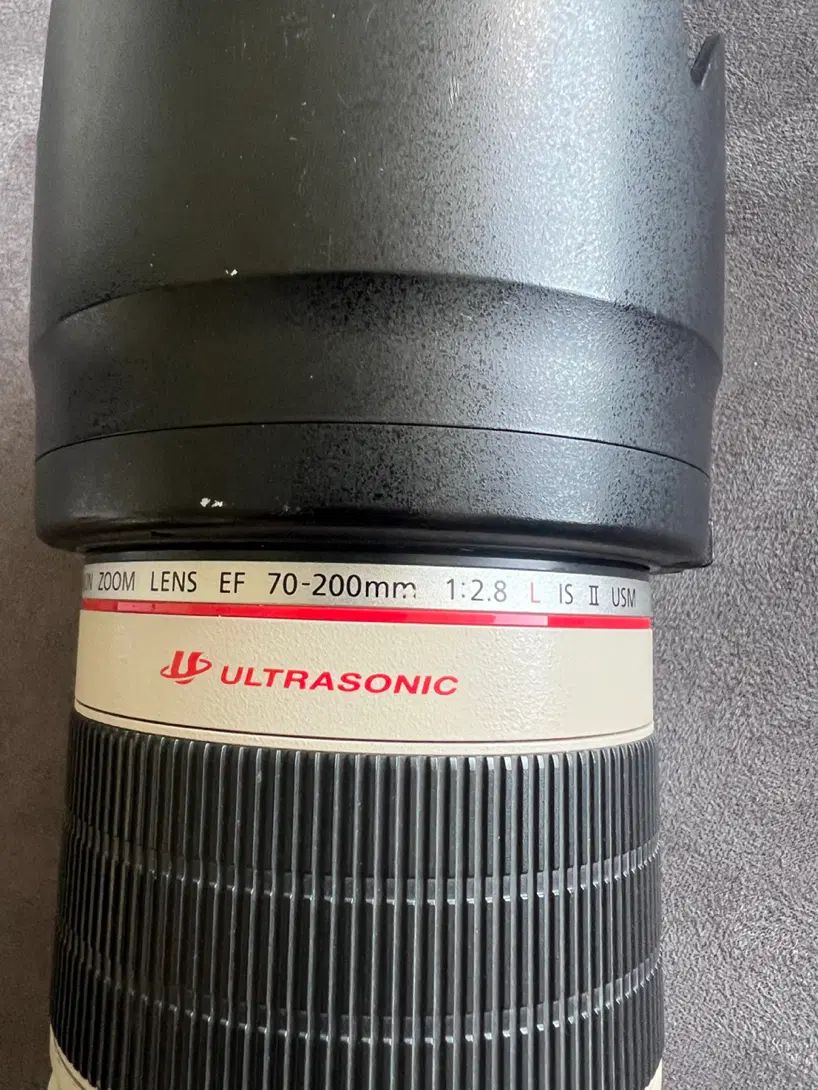 کانن 5Dmark4 Canon EF 70-200mm F2.8L IS III USM|دوربین عکاسی و فیلم‌برداری|رشت, کاکتوس|دیوار