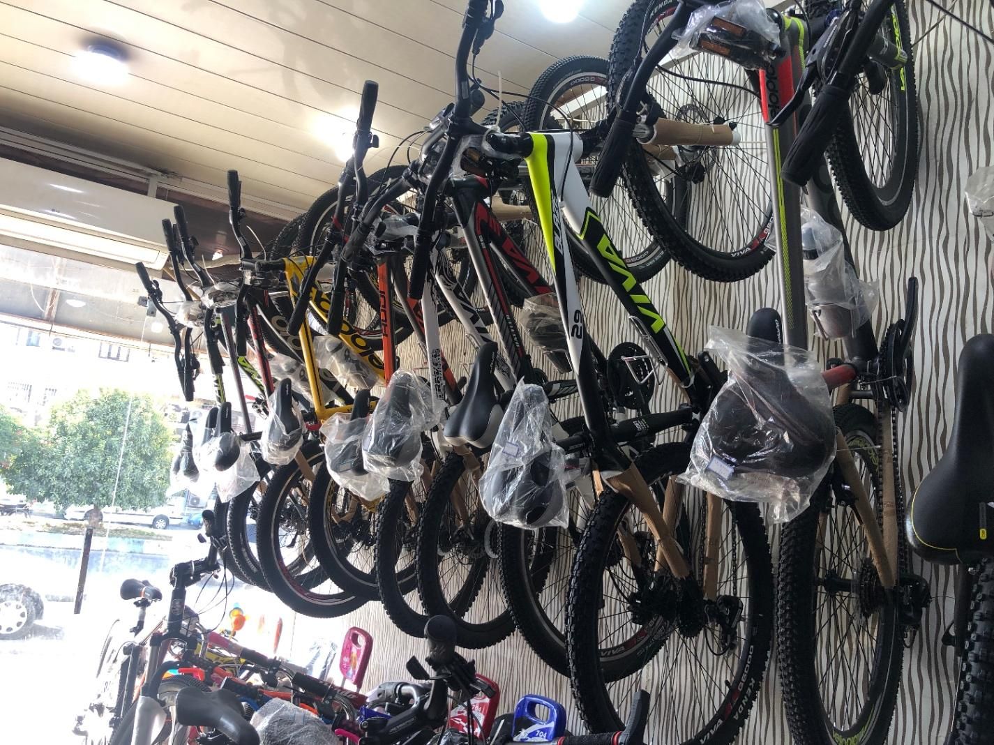 فروش انواع دوچرخه بیش از ۱۰۰ مدل|دوچرخه، اسکیت، اسکوتر|بوشهر, |دیوار