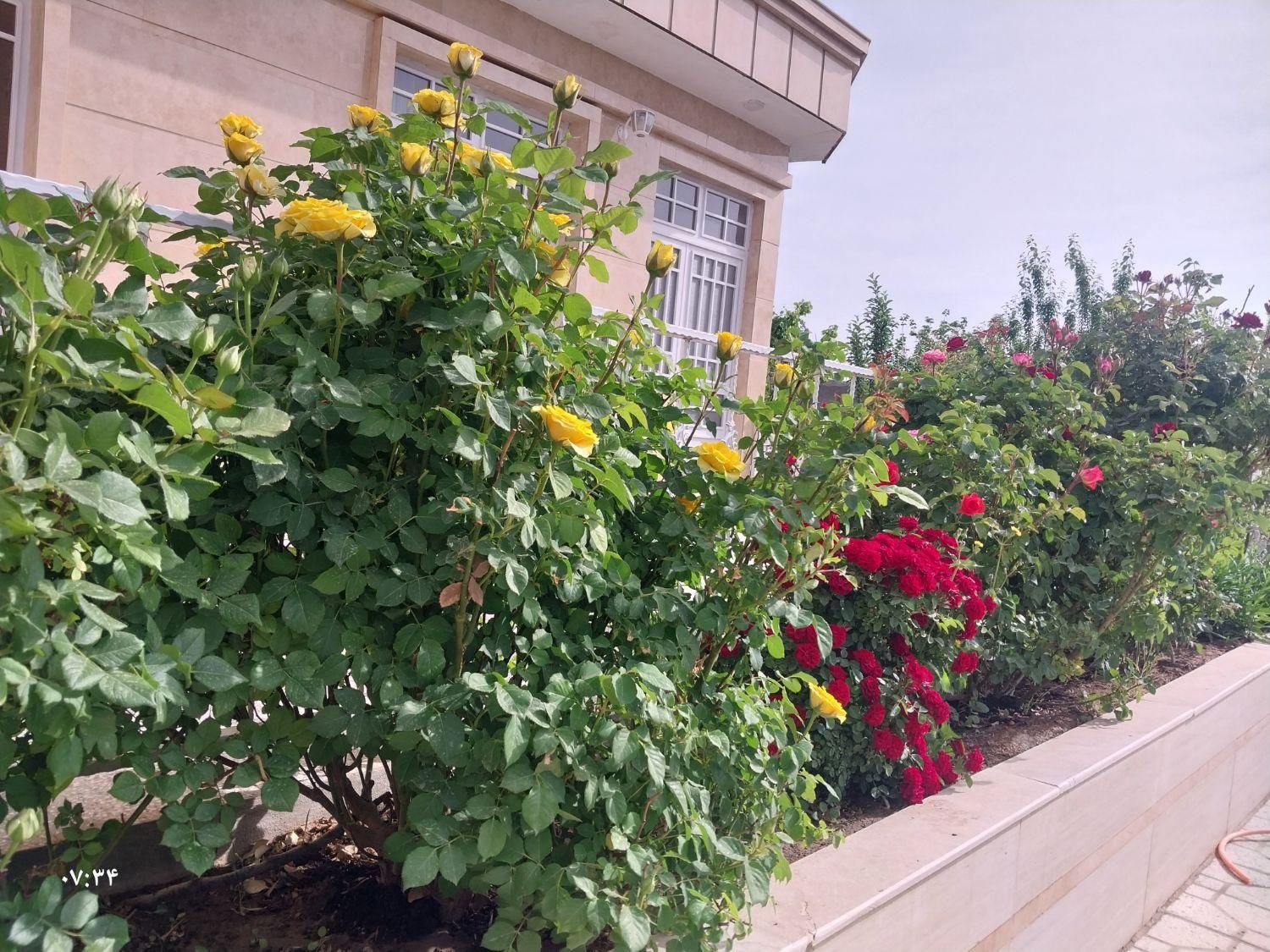 باغ ویلایی مجهز مهندسی بنهنگ تربت حیدریه|فروش خانه و ویلا|تربت‌حیدریه, بالا ولایت|دیوار