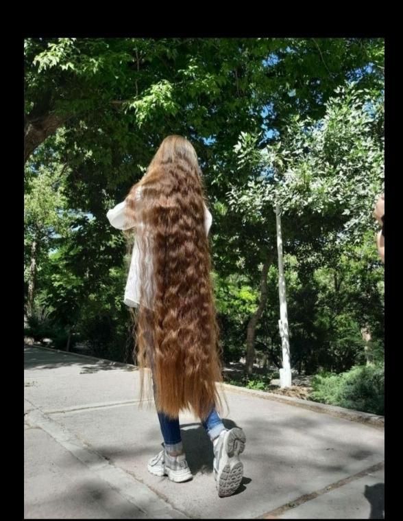 بهترین خریدار مو بور و زال فقط ما هستیم|آرایشی، بهداشتی، درمانی|تهران, نظامی گنجوی (توانیر)|دیوار