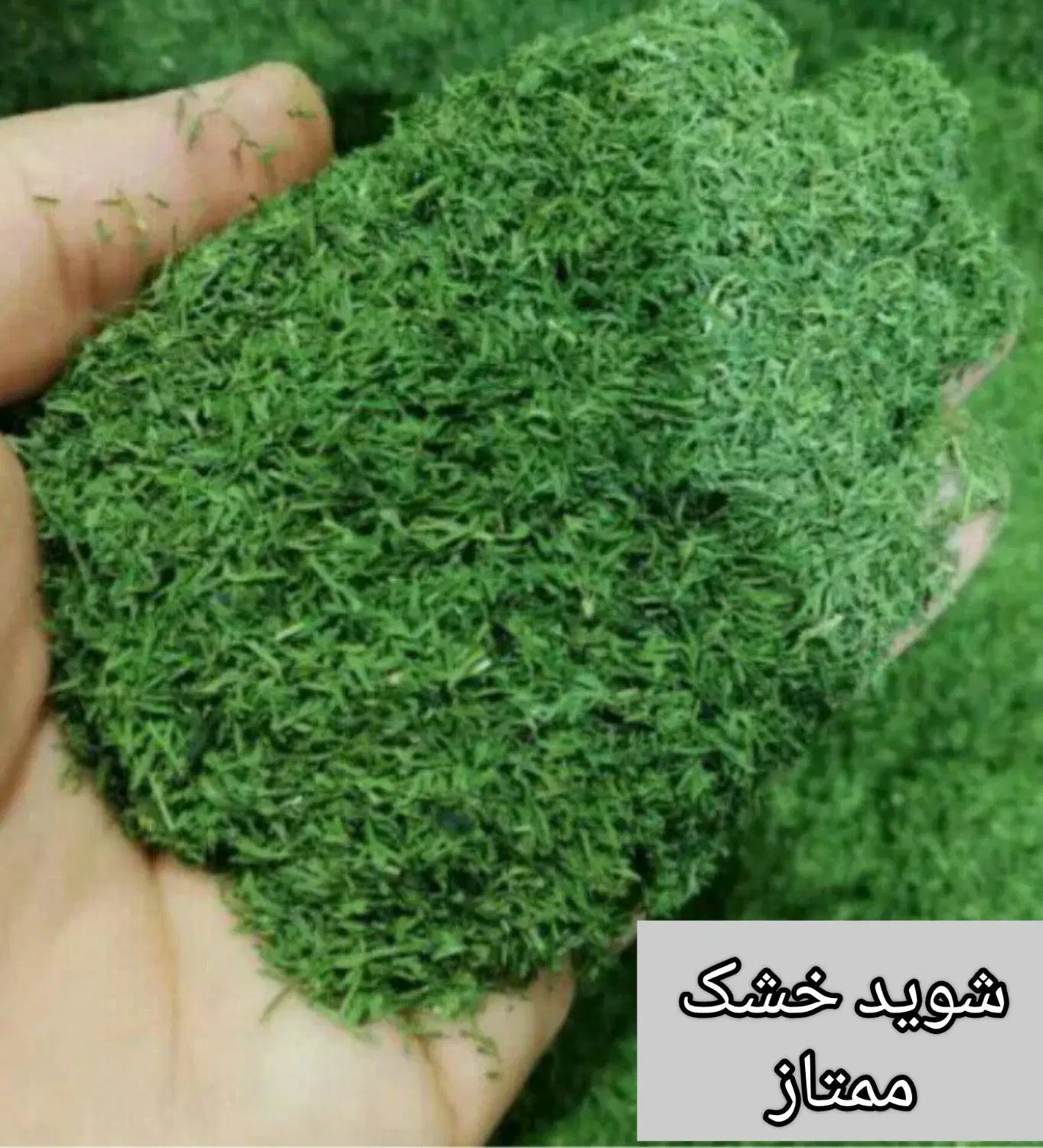 نعنا وشوید خشک،گل محمدی،زردچوبه،فلفل، چهار زیره|خوردنی و آشامیدنی|مشهد, امیر|دیوار