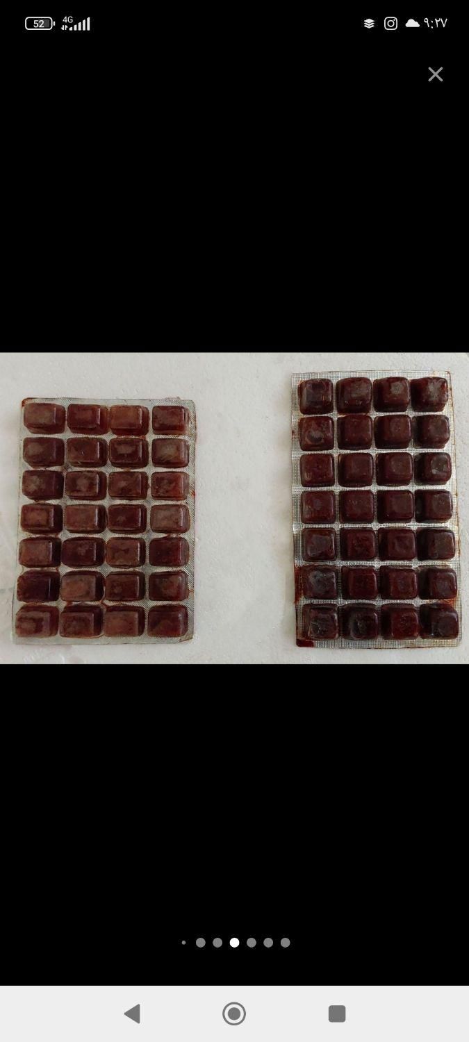 آکواریوم شهر ماهی|ماهی|کرمانشاه, |دیوار