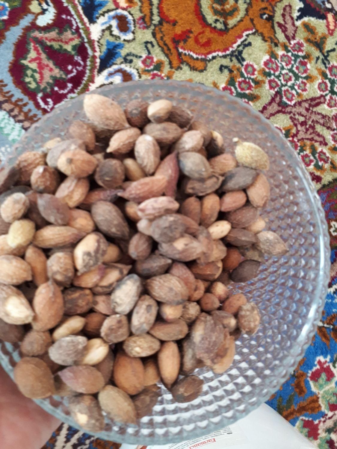 پسته جنگلی|خوردنی و آشامیدنی|مشهد, احمدآباد|دیوار
