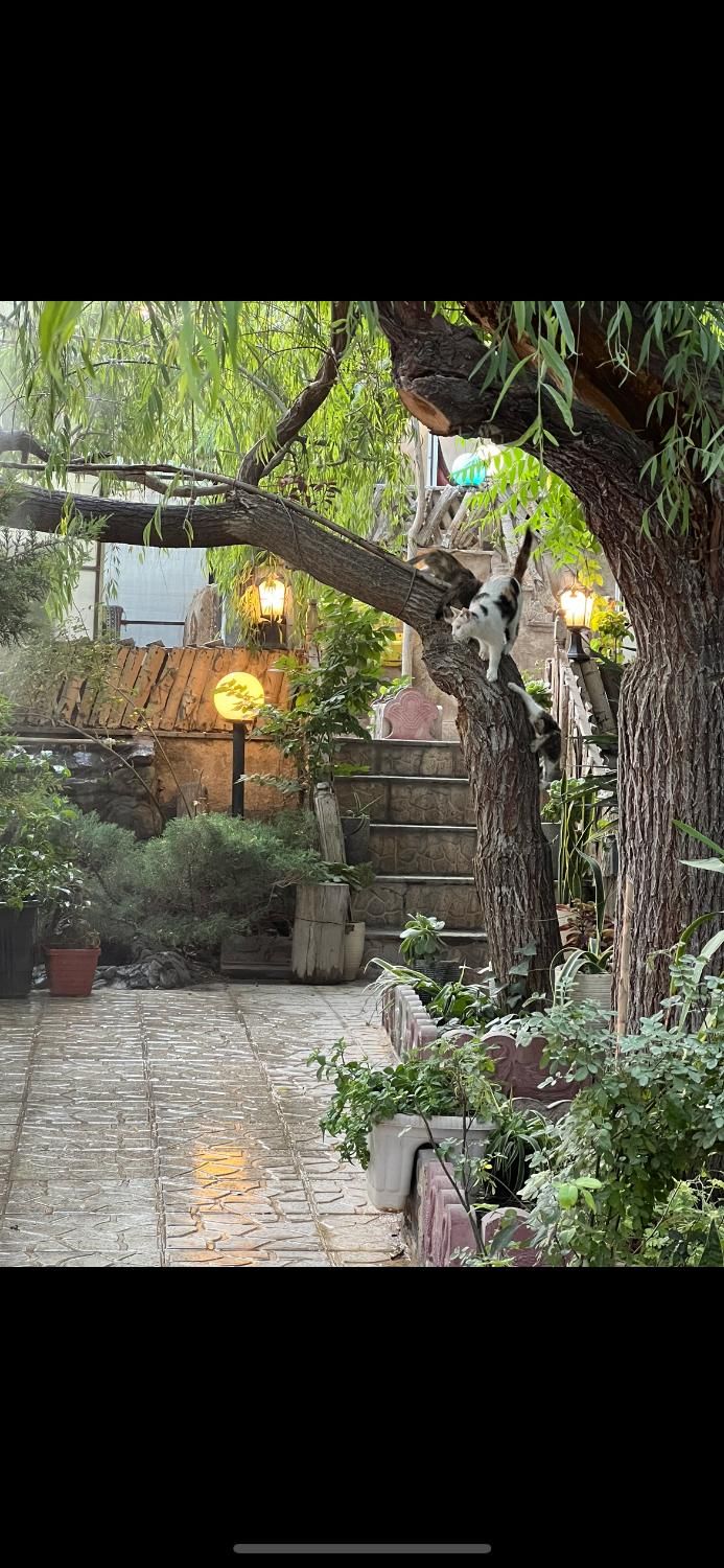 سالنکار|استخدام خدمات فروشگاه و رستوران|تهران, دریاچه شهدای خلیج فارس|دیوار