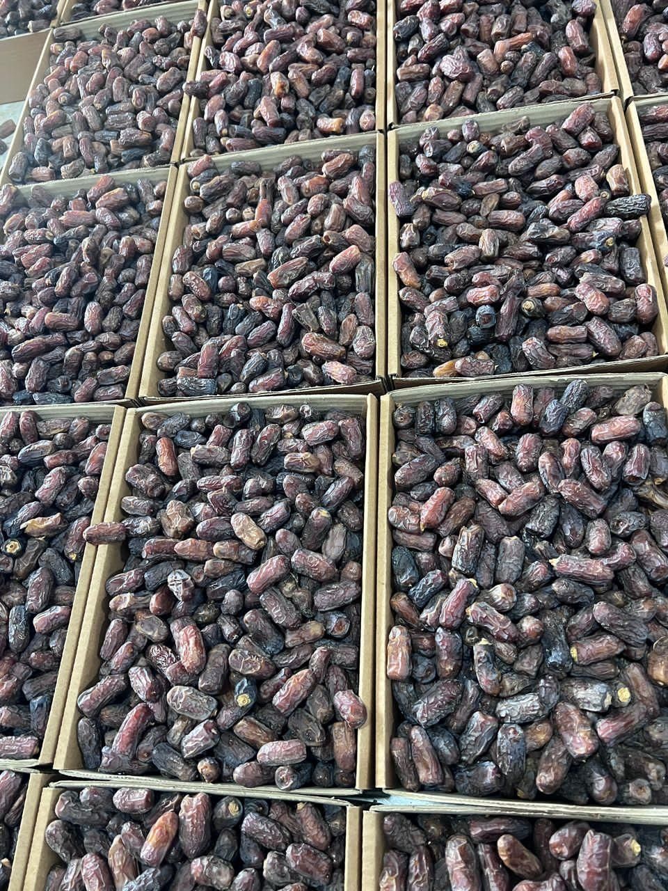 خرما پیارم .چیپس پیارم|خوردنی و آشامیدنی|تهران, جهاد|دیوار