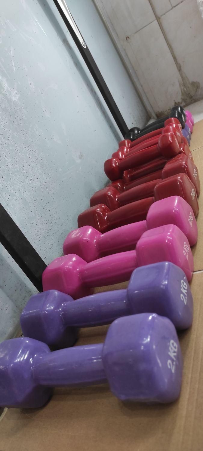 دمبل رنگی دمبل بانوان|تجهیزات ورزشی|شیراز, طلاب|دیوار