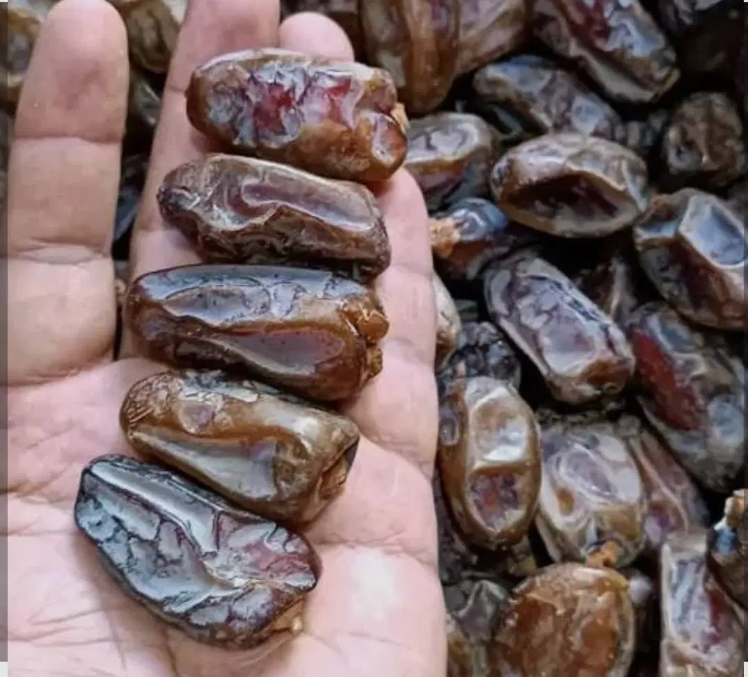 خرما خشک درجه یک|خوردنی و آشامیدنی|تهران, شوش (باغ آذری)|دیوار