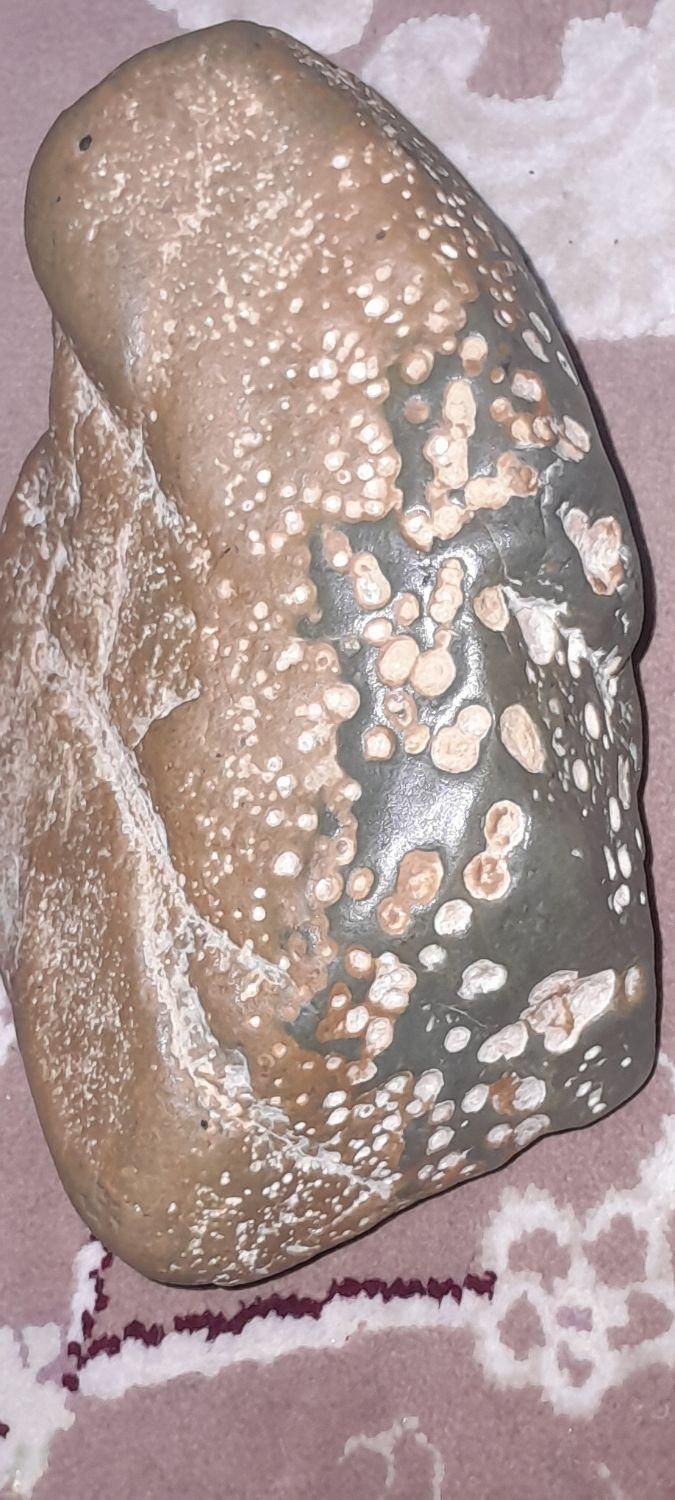 سنگهای آسمانی|کلکسیون اشیاء عتیقه|قم, امامزاده ابراهیم|دیوار