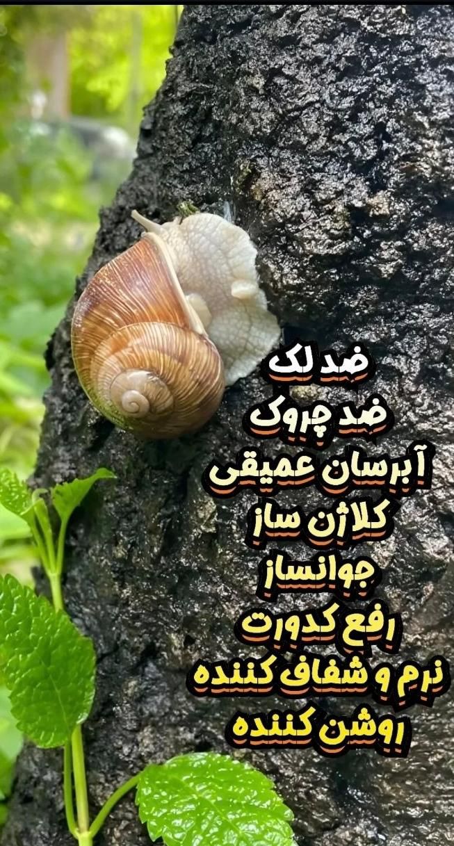کرم حلزون|آرایشی، بهداشتی، درمانی|تهران, فرودگاه مهرآباد|دیوار