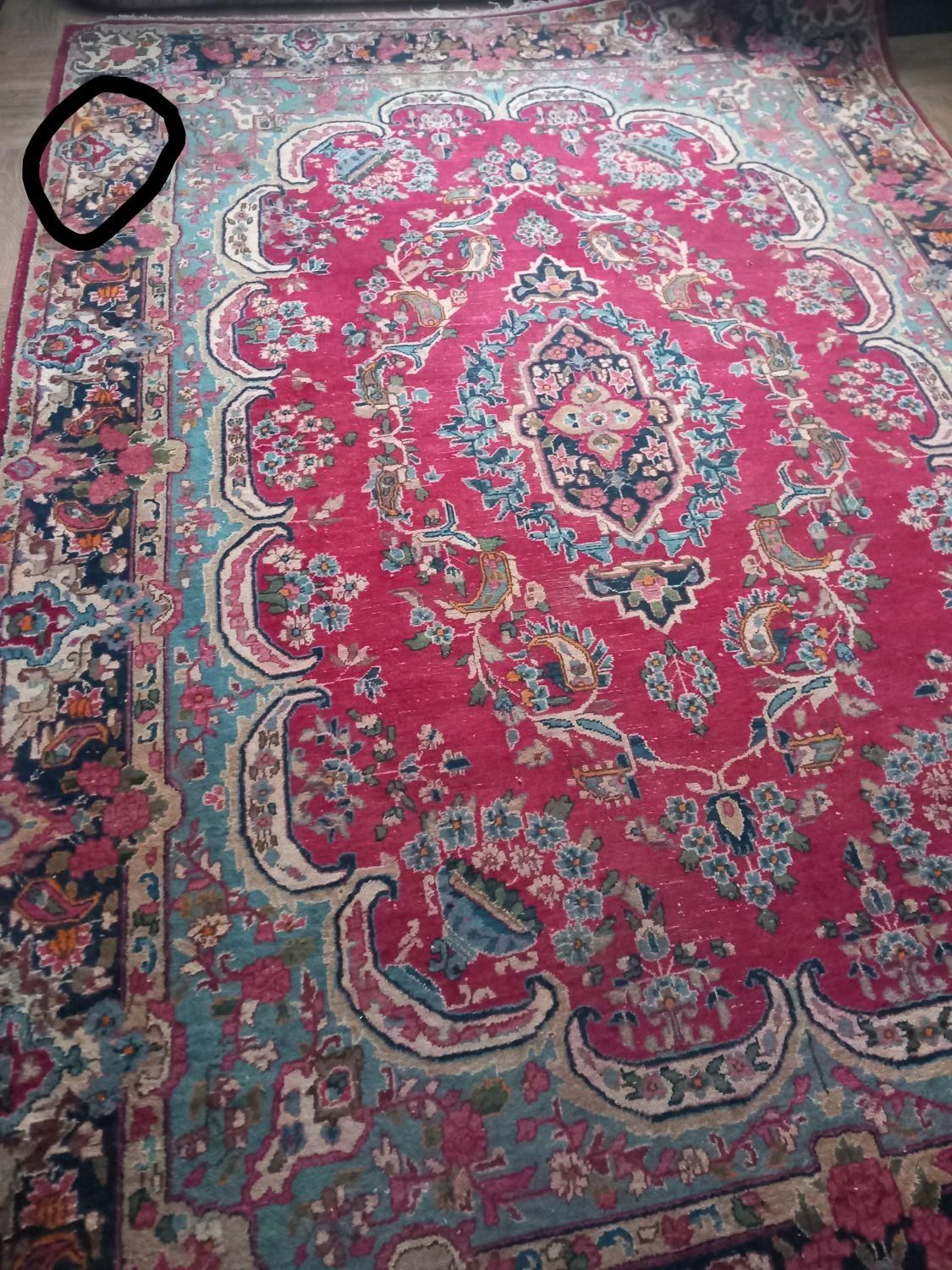 قالی کرمانی|فرش|کرمان, |دیوار