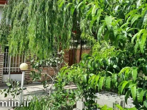 تهران دشت ابتدای جاده آران کنار رودخانه کوچه آریا|فروش زمین و ملک کلنگی|هشتگرد, تهران دشت|دیوار