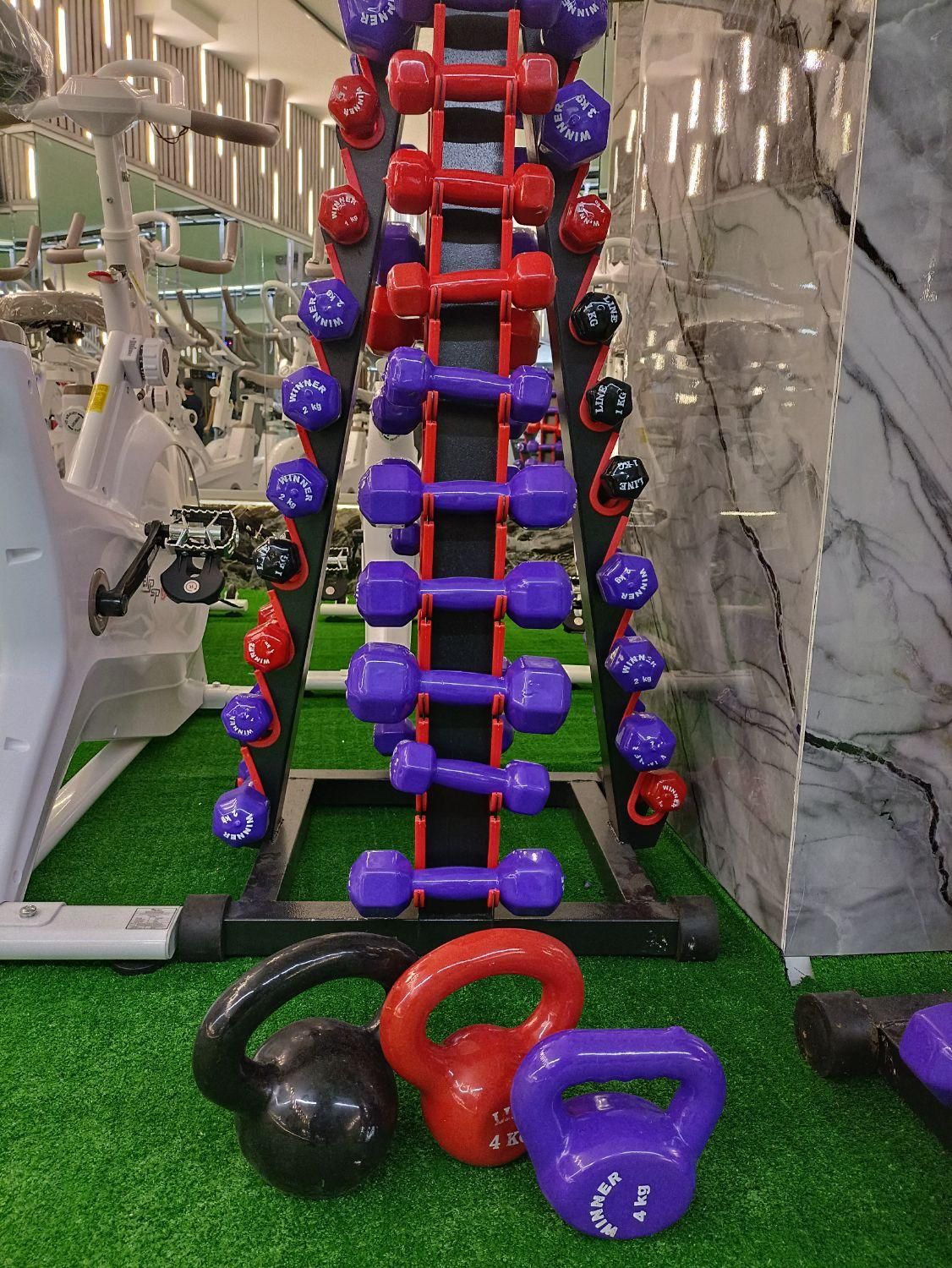 باشگاه بزرگ روئین تنان با مدیریت ناطقی لاری|خدمات آموزشی|شیراز, آزادگان|دیوار