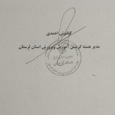 تعدادی مدارک ازم دزدیده شده در شهر ساوه|اشیا|پرند, |دیوار