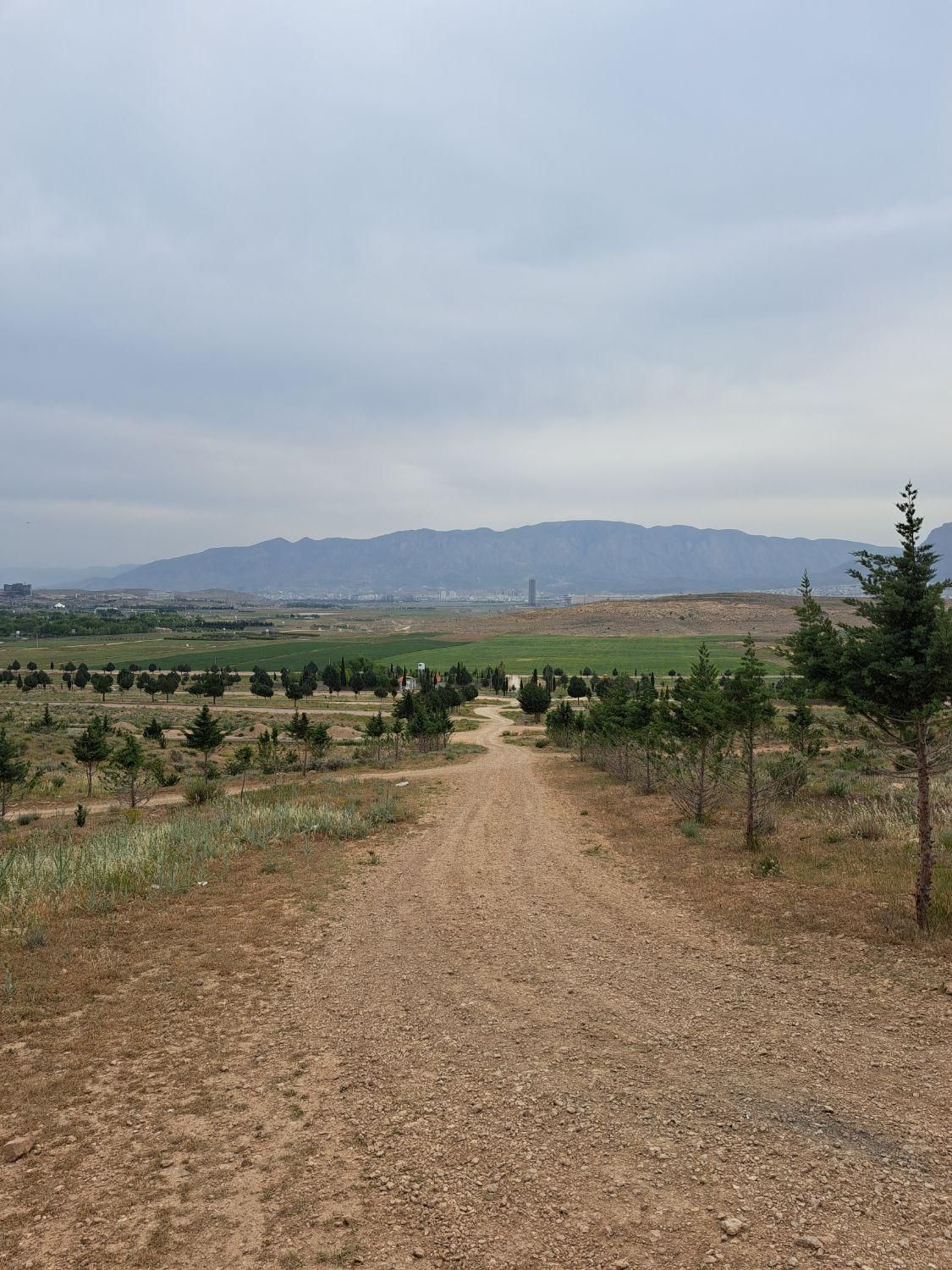 زمین قصرسبز دانشگاه علوم پزشکی|فروش زمین و ملک کلنگی|شیراز, باغشهر قصر سبز|دیوار
