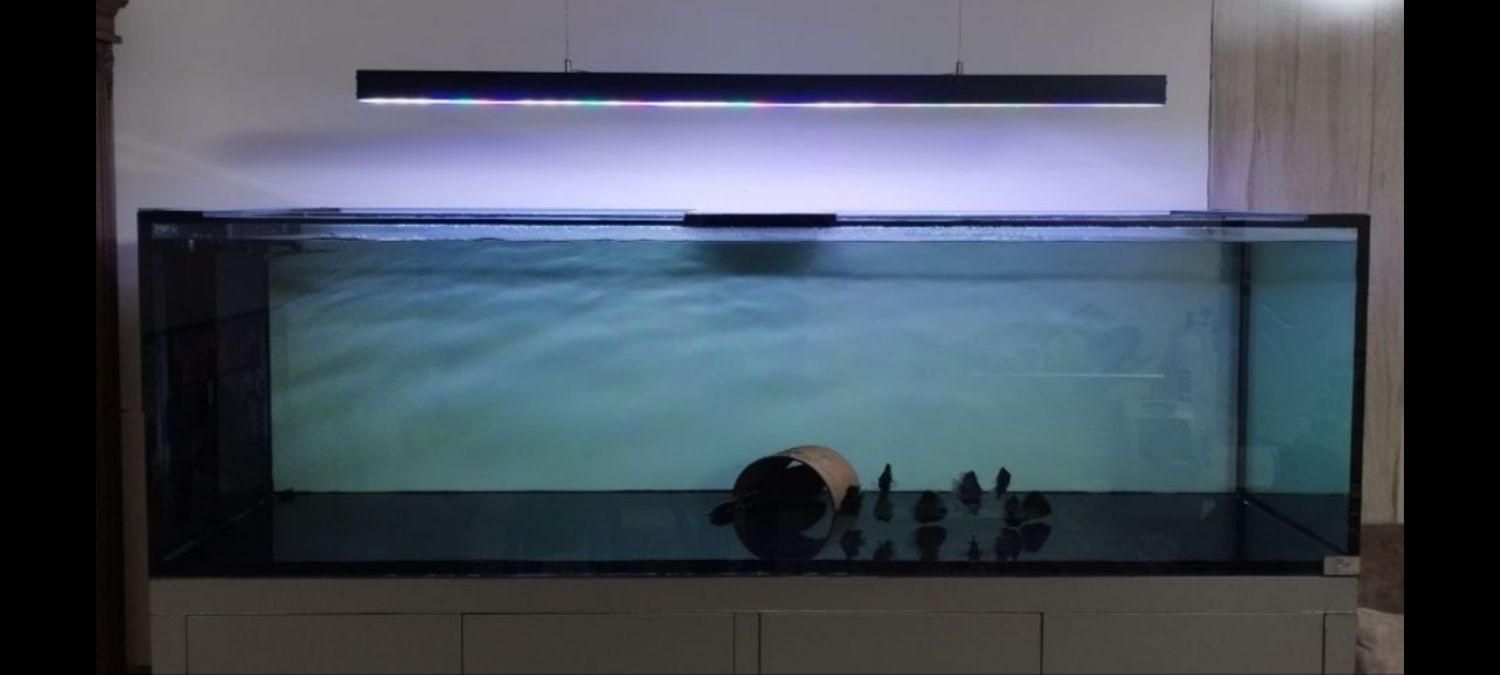 نور آکواریوم آبشور مرجانی و پلنت ماهی|ماهی|تهران, سهروردی|دیوار