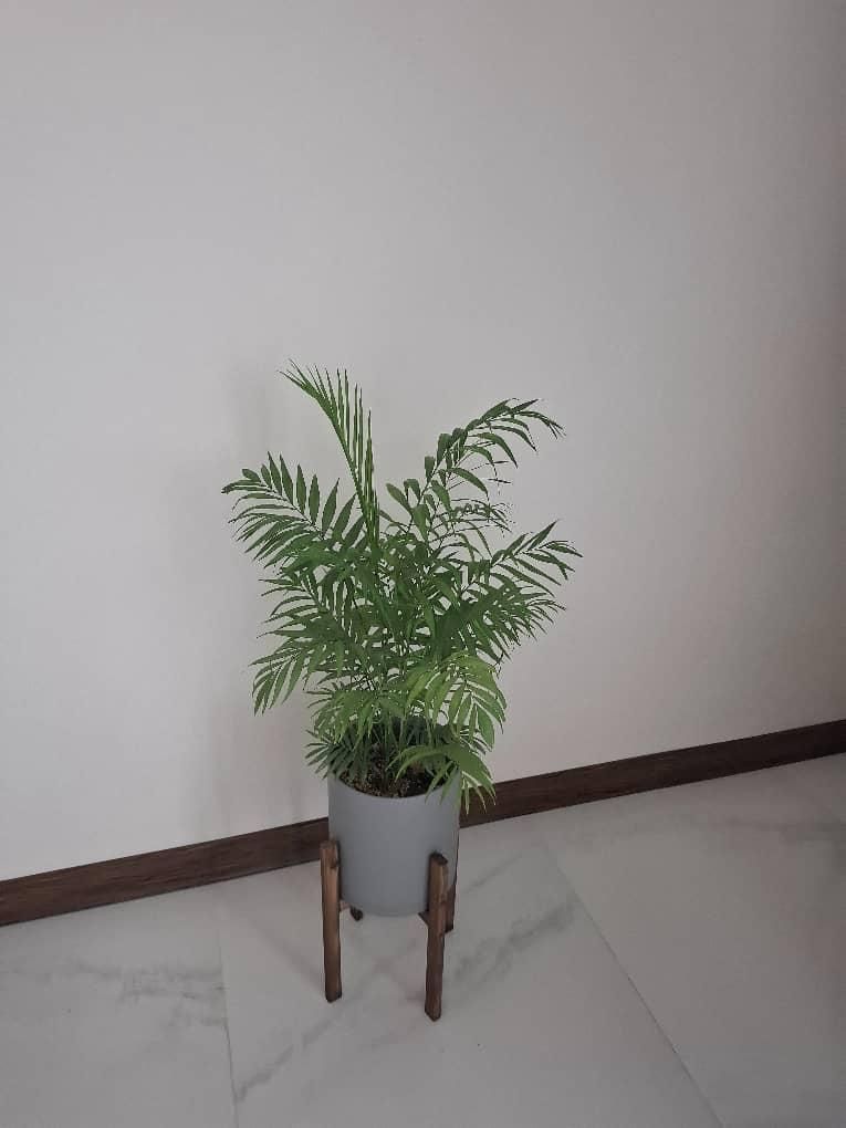 ثبت شرکت /صورتجلسه/مجوز/کارت بازرگانی/برند|خدمات مالی، حسابداری، بیمه|کرج, چهارصد دستگاه|دیوار