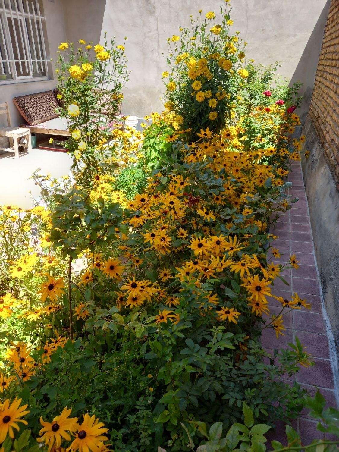 خانه ای شیک و نوساز فول امکانات در خلخال|اجارهٔ کوتاه‌مدت آپارتمان و سوئیت|خلخال, |دیوار