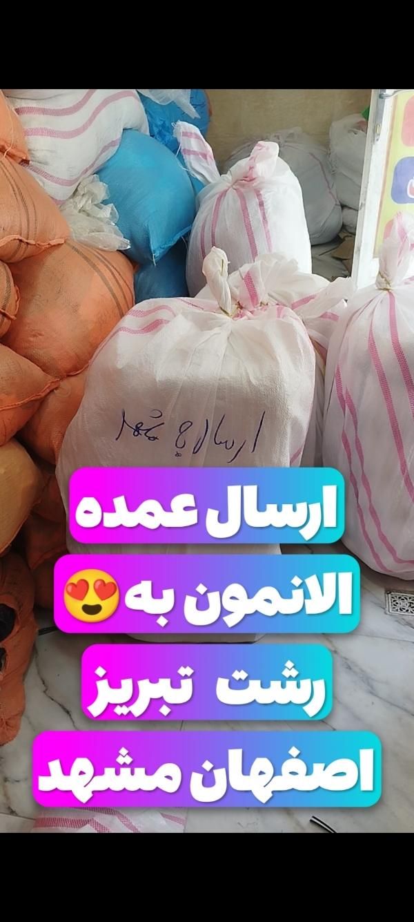 پخش قطب لباس تاناکورا|لباس|مشهد, دانش|دیوار