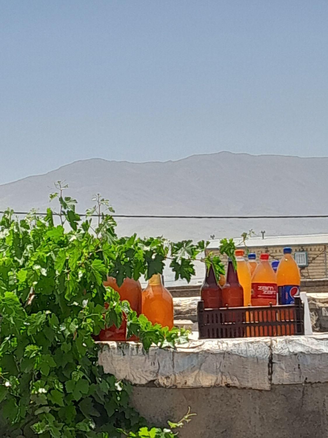 آبغوره.. ترخینه..انواع سبزی خشک موجود میباشد|خوردنی و آشامیدنی|دورود, |دیوار