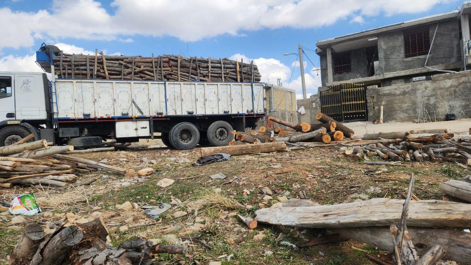 خریدار چوب درخت|خدمات باغبانی و درختکاری|یاسوج, |دیوار