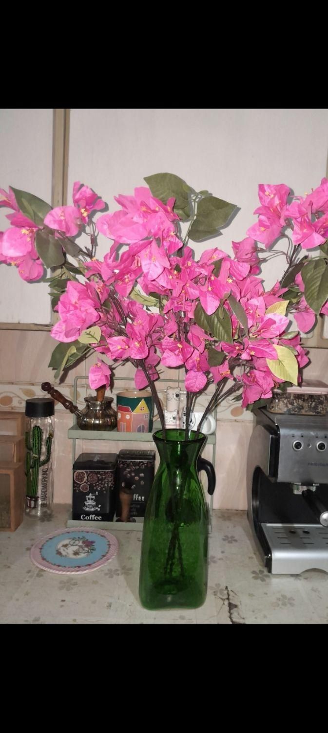 تعدادی گل خارجی نو بدون گلدان|گل مصنوعی|بندر کنگان, |دیوار