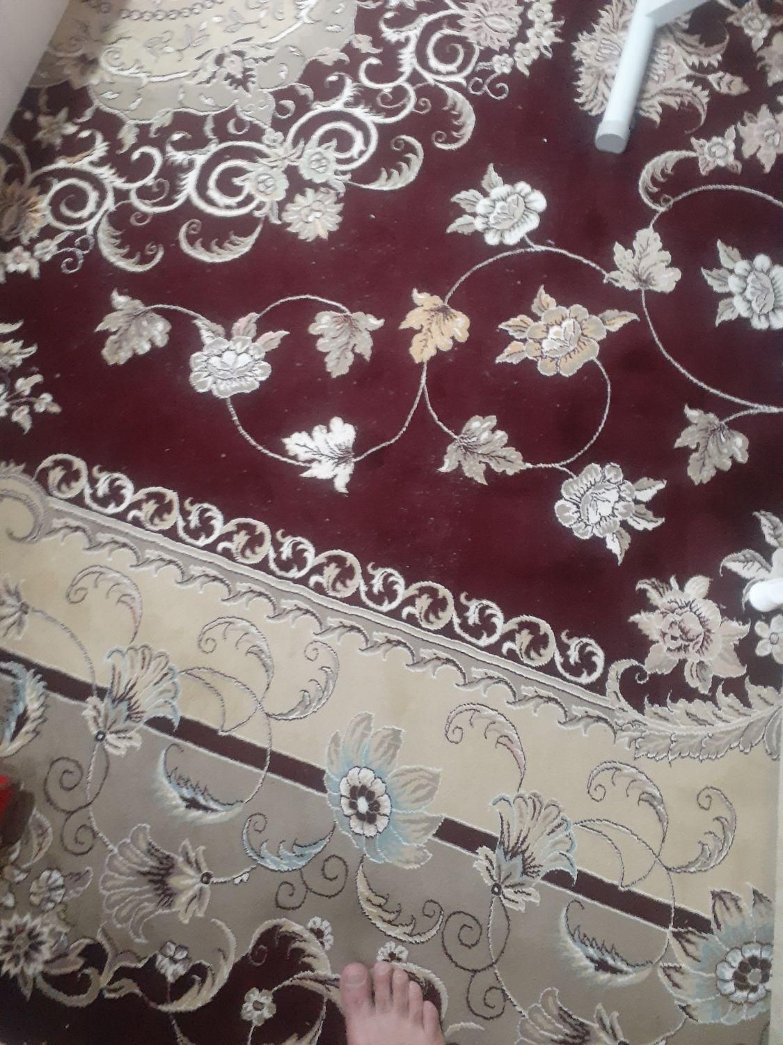 سالم وتمیز|فرش|دماوند, دماوند|دیوار